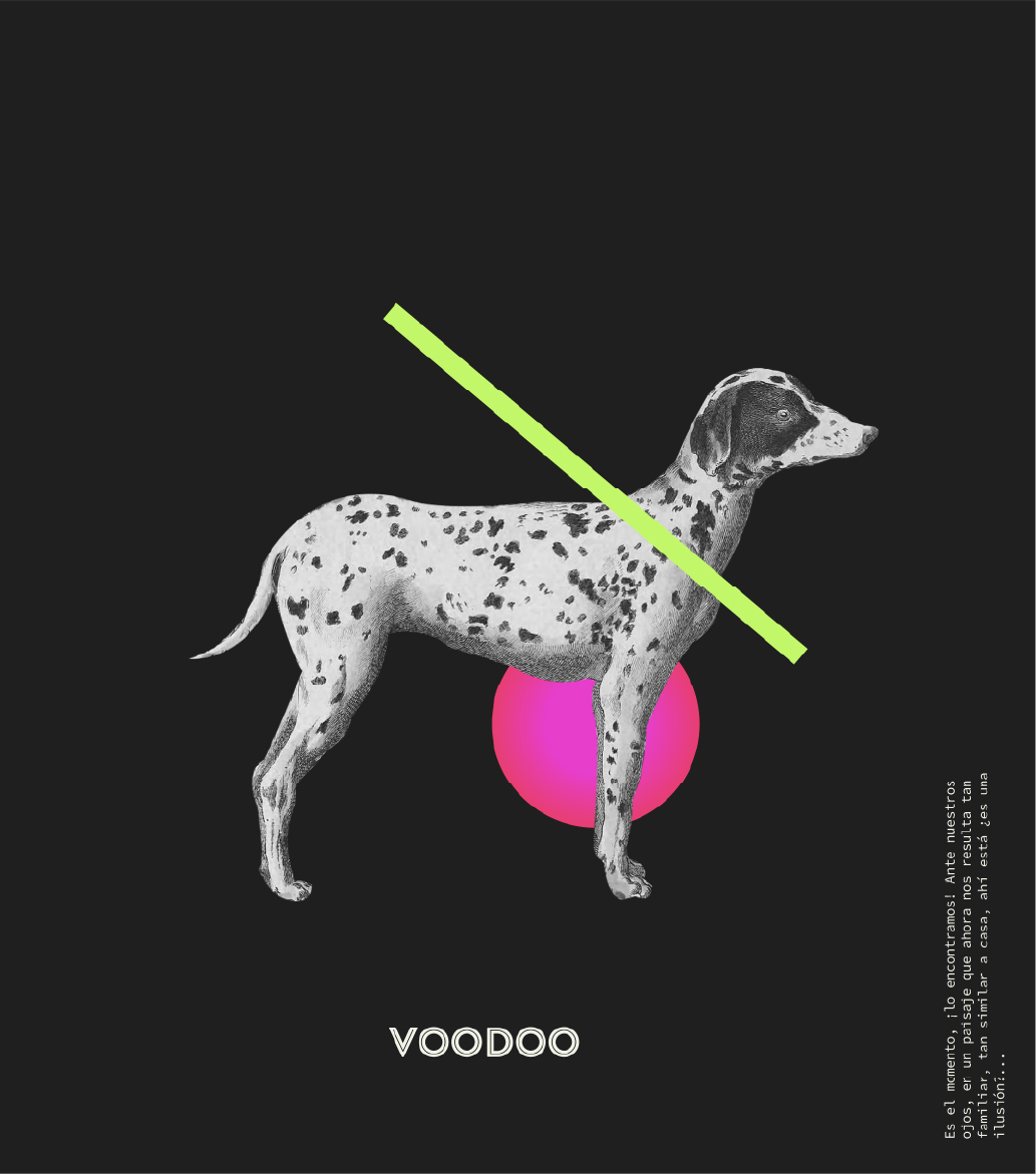 proyecto-voodoo-img-2@2x-100